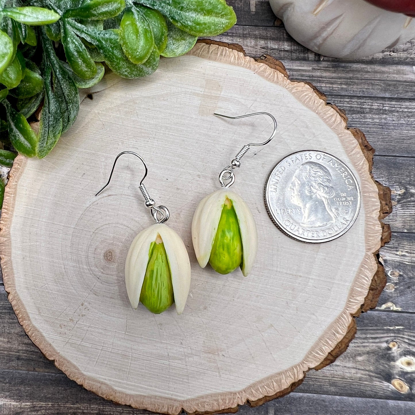 Pistachio Nut Foodie Snack Lightweight Resin  Earrings, Hypoallergenic Gift