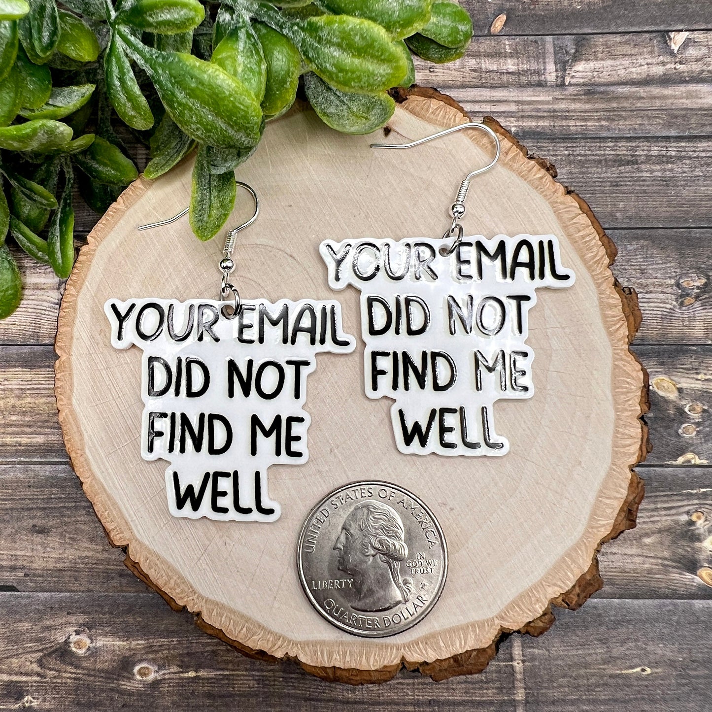 Sarcastic Humor Planar Resin I Hope Your Phone Falls in a Toilet Your Email Did Not Find Me Well Dangle Earrings, Hypoallergenic Gift